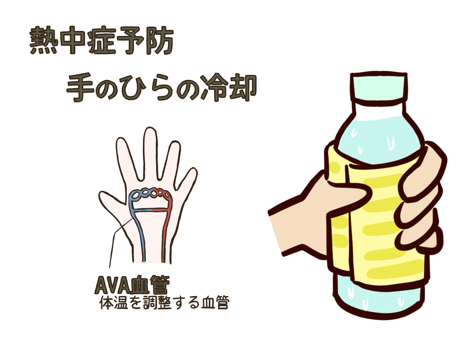熱中症対策の1つ手掌冷却法