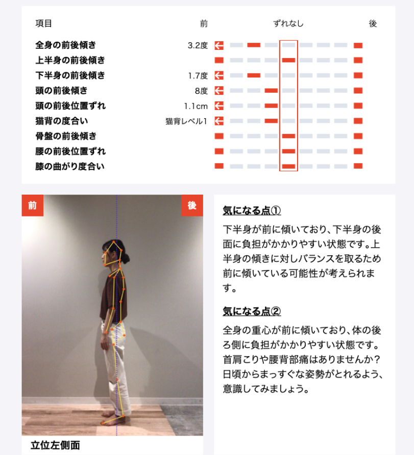 シセイカルテの分析結果2